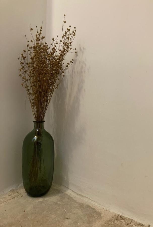 Casa Antica Pietra Ostuni 빌라 외부 사진